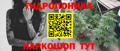 экстази Кингисепп